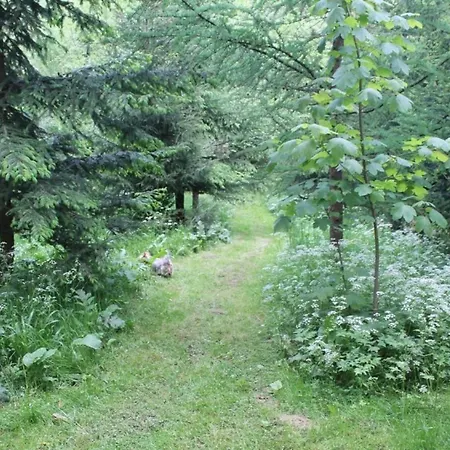 Holiday home Komfortables Ewa In Meszna Opacka